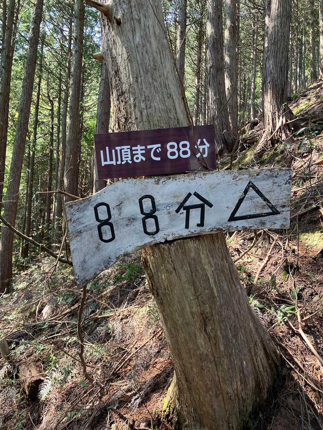 急な斜面を10分ほど登り切るとあと88分の看板が現れます。
