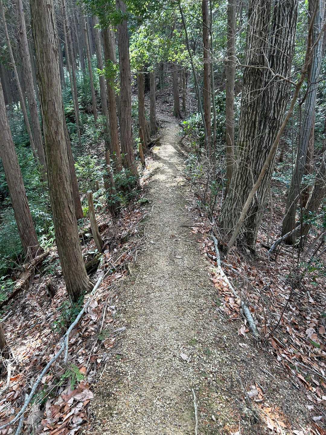 細い尾根