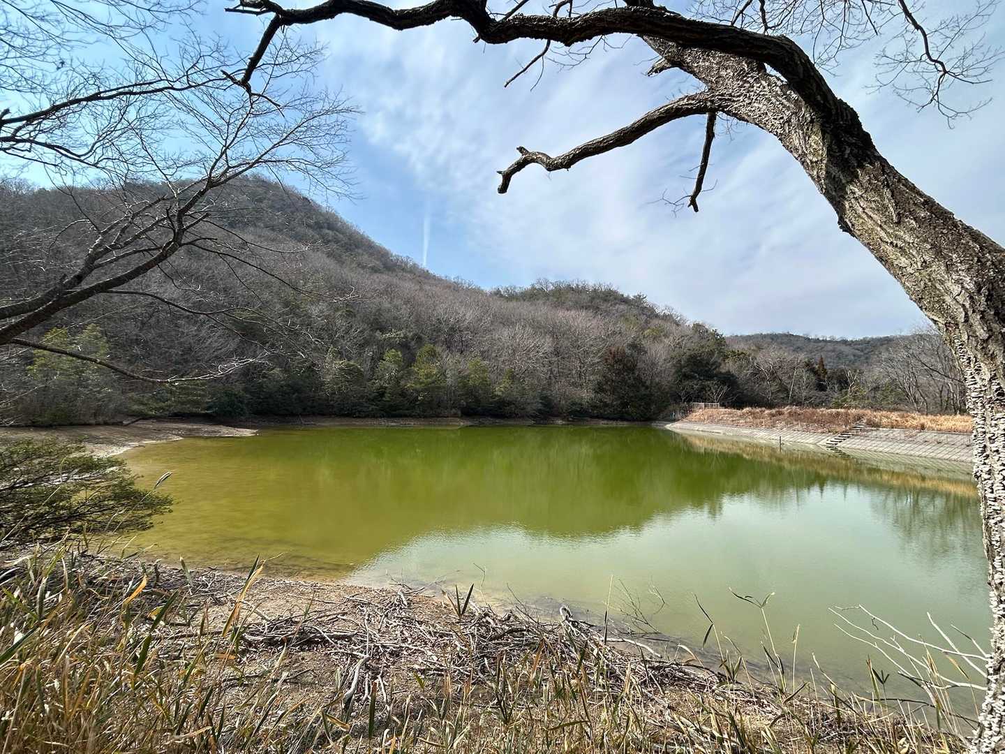 キラキラしている水面