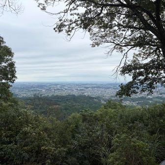麓の街がすぐ側にある日和田山は、近隣の方々からは短かな存在で親しまれている山なんだろうな…と想像しました。