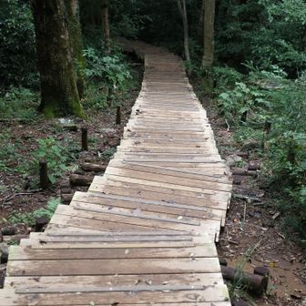 ６号路で下山します。