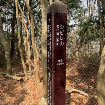 シビレ山⛰️ピーク到着。