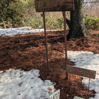 吉野ヶ岳の山頂三角点に到着