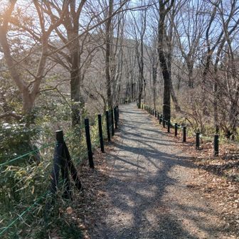 一旦下界に降りて嵐山渓谷を散策