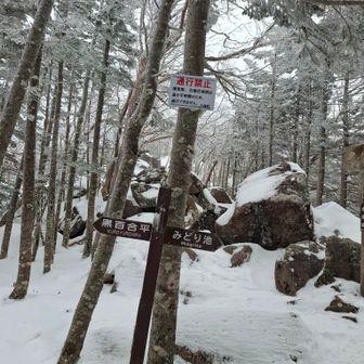 以前､ニュウから天狗岳へ向かった時の分岐に到着🎶