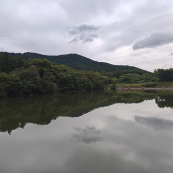 近くの池