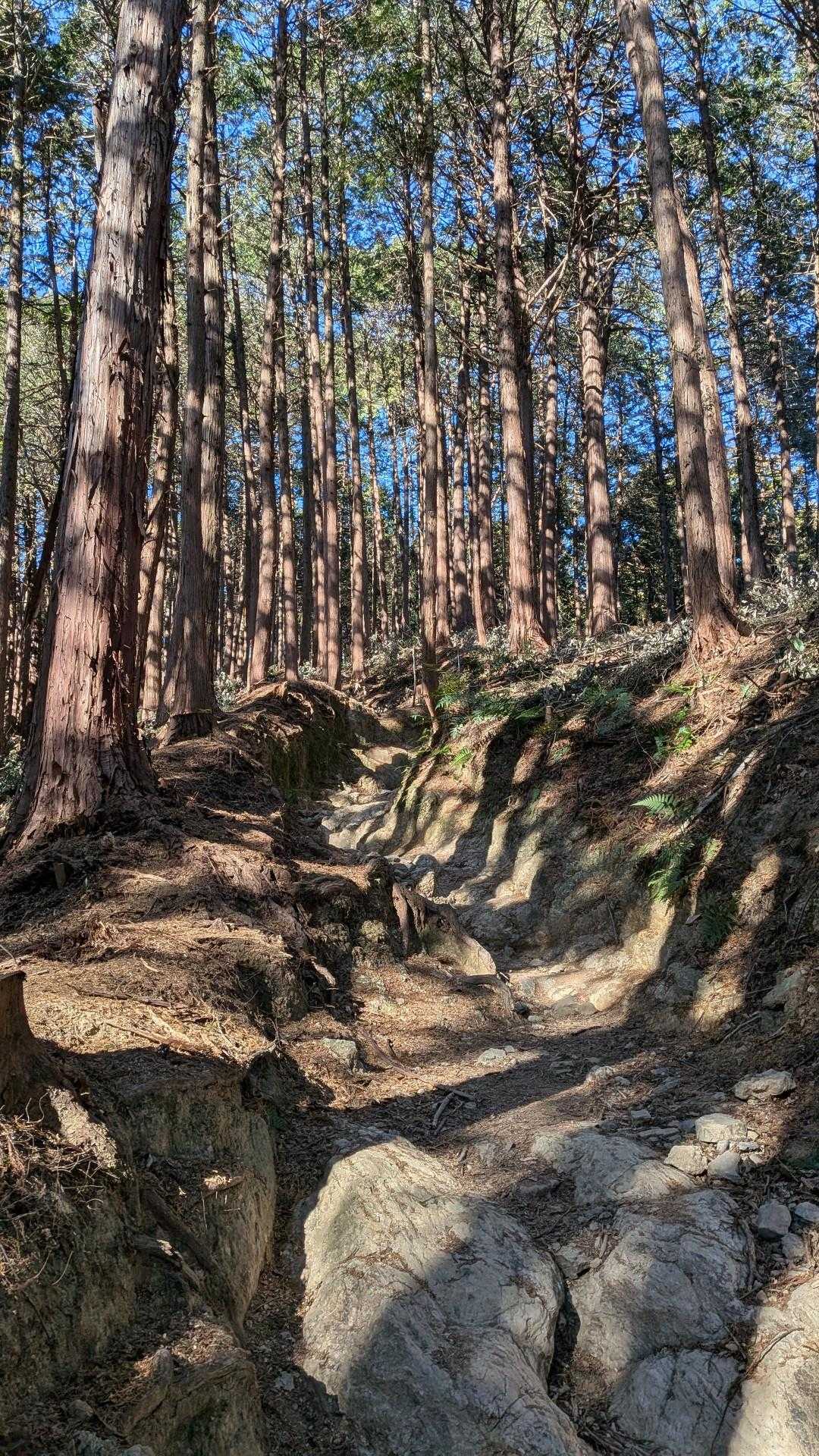 物見山を目指す