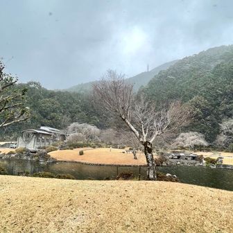 園内散歩途中だったが勇気ある撤退😁