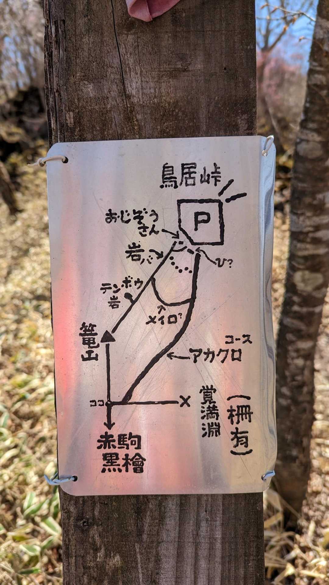 案内図☝
ﾌﾑﾌﾑ🤔