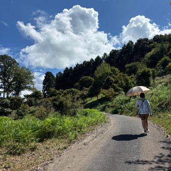 雨予報は 一体 なんだったんだ。。。