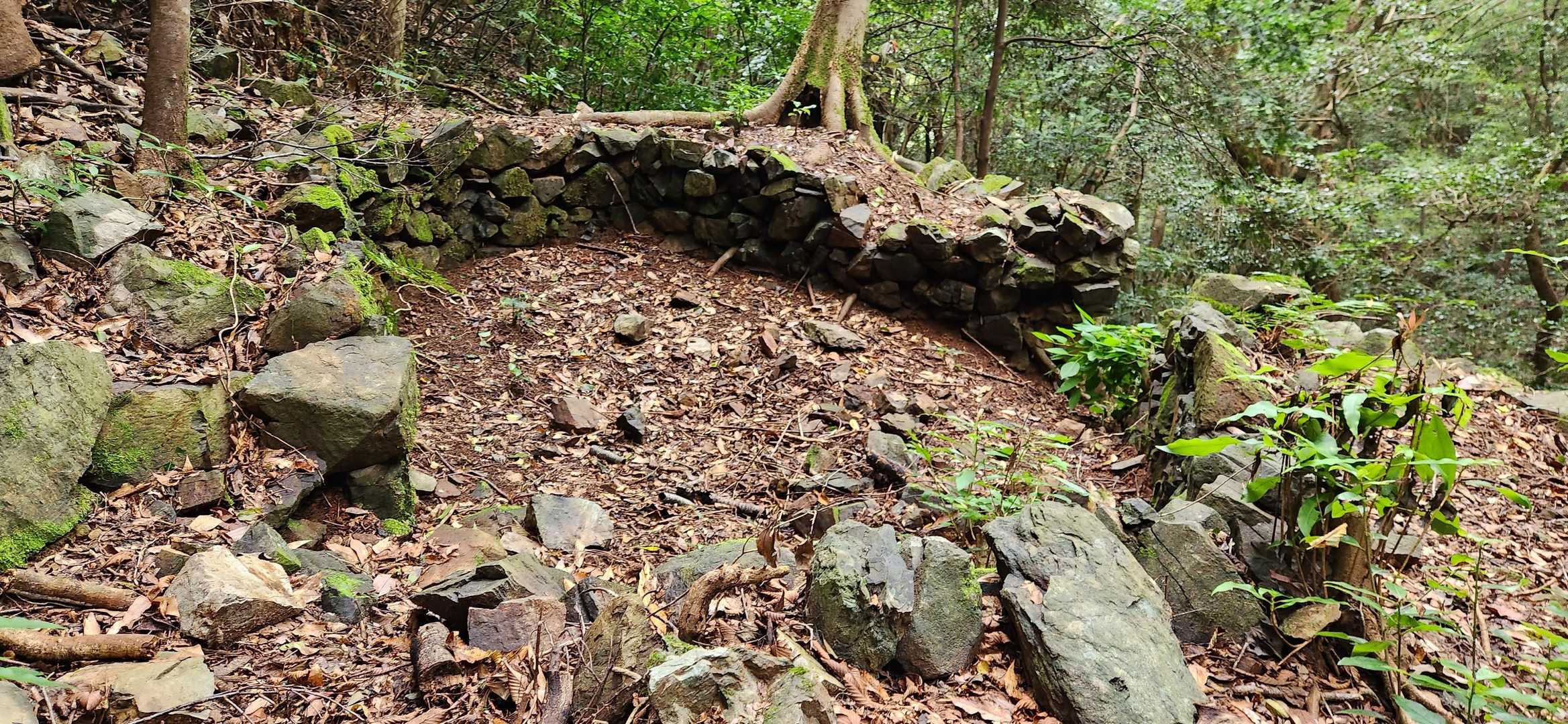 上野越・福智山分岐-鷹取山 往復コースの写真