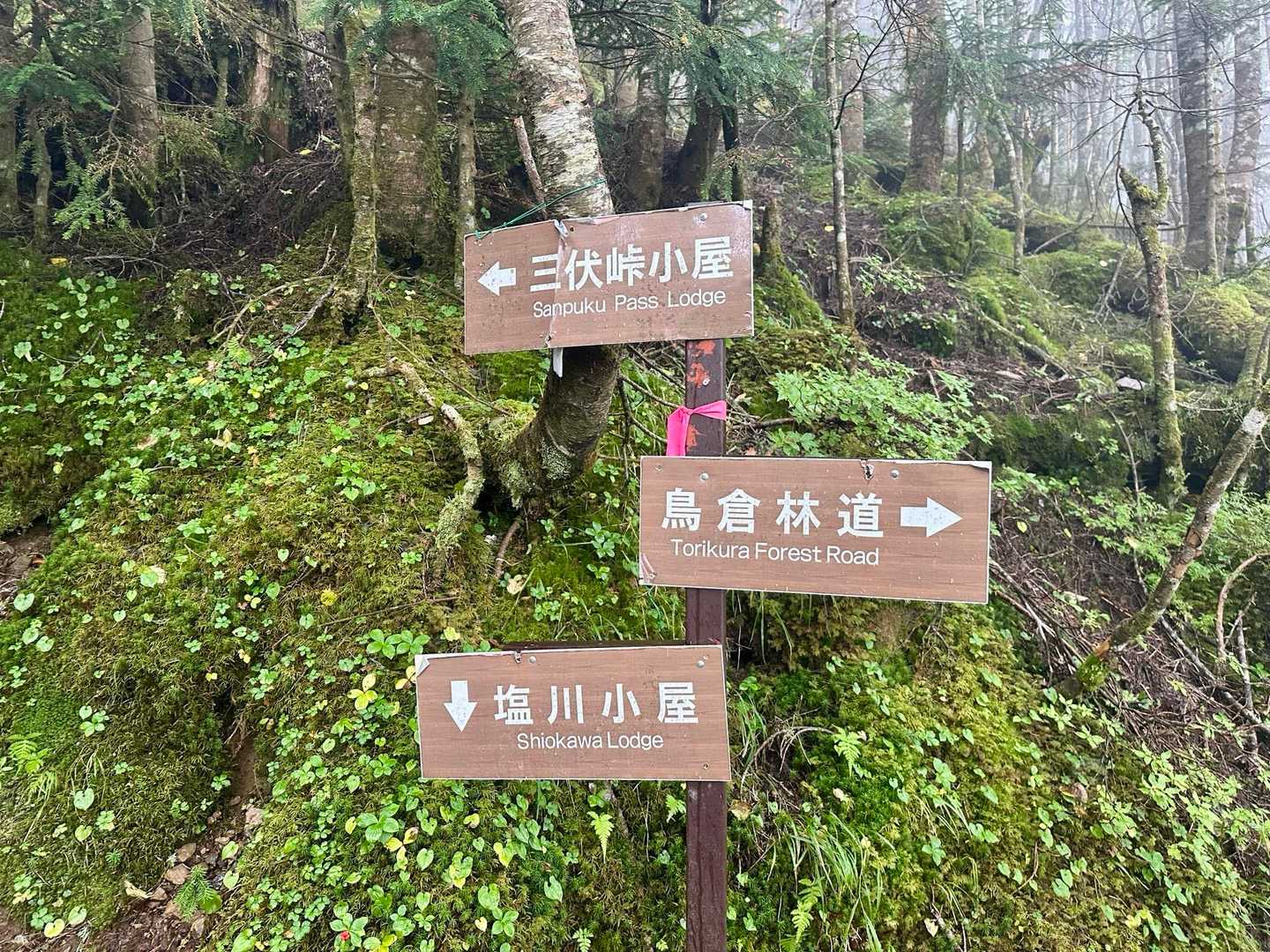 本谷山-三伏山-三伏峠-鳥倉登山口 縦走コースの写真