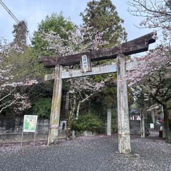 大己貴神社(おおなむちじんじゃ)⛩️