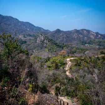 中央に見える岩山が医王山
