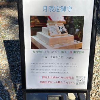 オールマイティな御守りですって😵