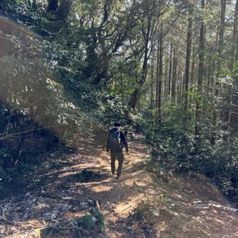 神社に向かいます⛩️