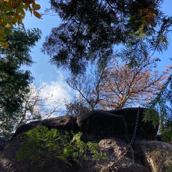 この岩の上が頂上⁈