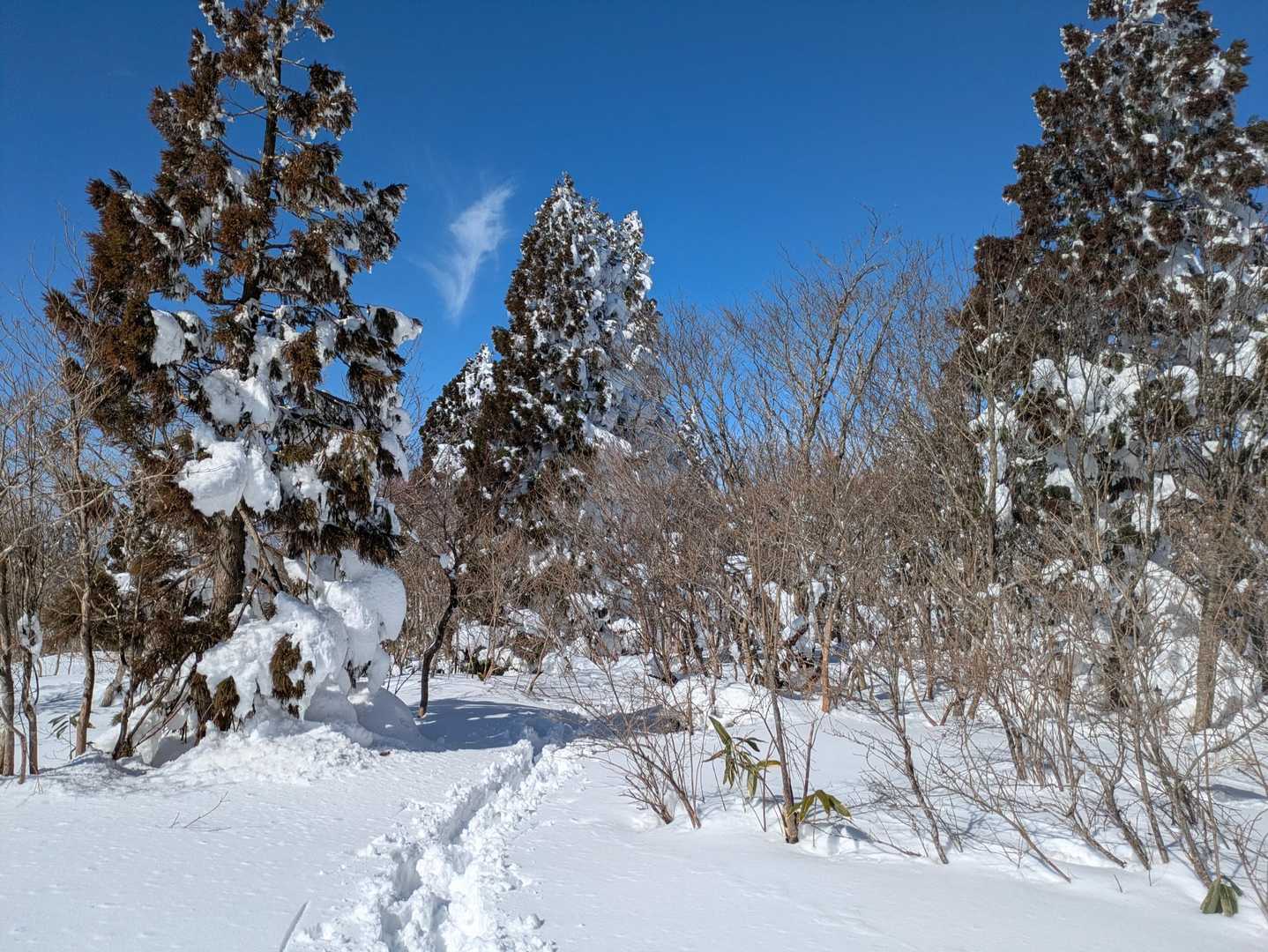 素敵な道🥰✨お！そうだ！