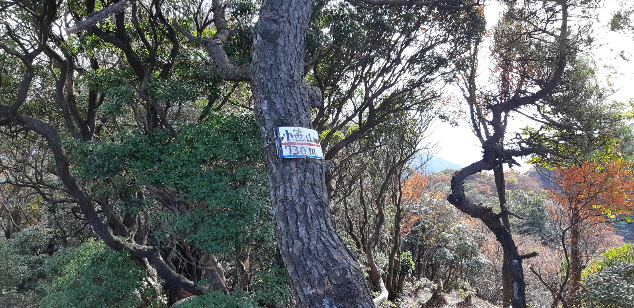 小笹山は、一度トラバースルートで通り過ぎましたが、戻って登頂