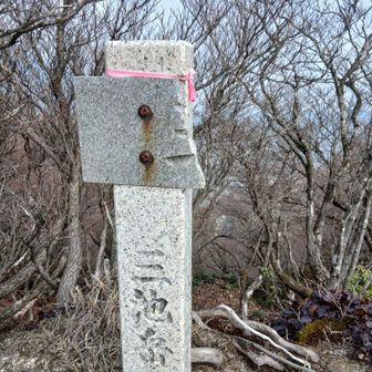 山頂はこちら？