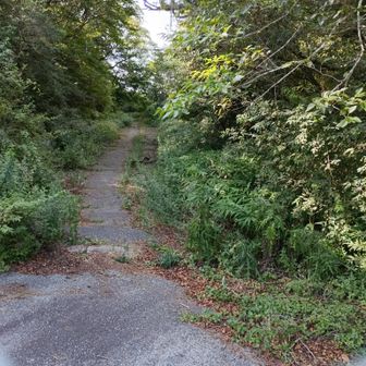 白水山に続く道らしーにゃ。震災で壊れて放棄された道にゃ。