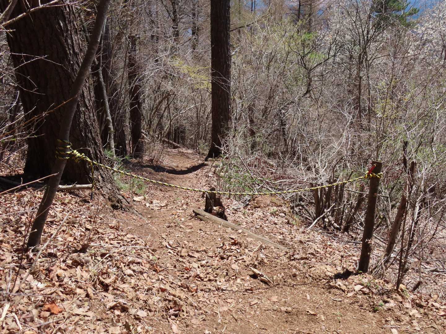 天上山から富士急ハイランドに向かって下山する予定でしたが、登山道入口にロープが張られていて進入禁止！ ショックでした🤣
仕方がないので、オーソドックスに富士見台を経由して河口湖に向かって下山し、富士急 河口湖駅から電車に乗って駐車場へ戻ることに計画変更！