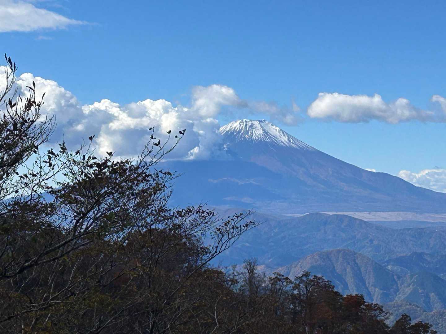 富士山もきれい。
