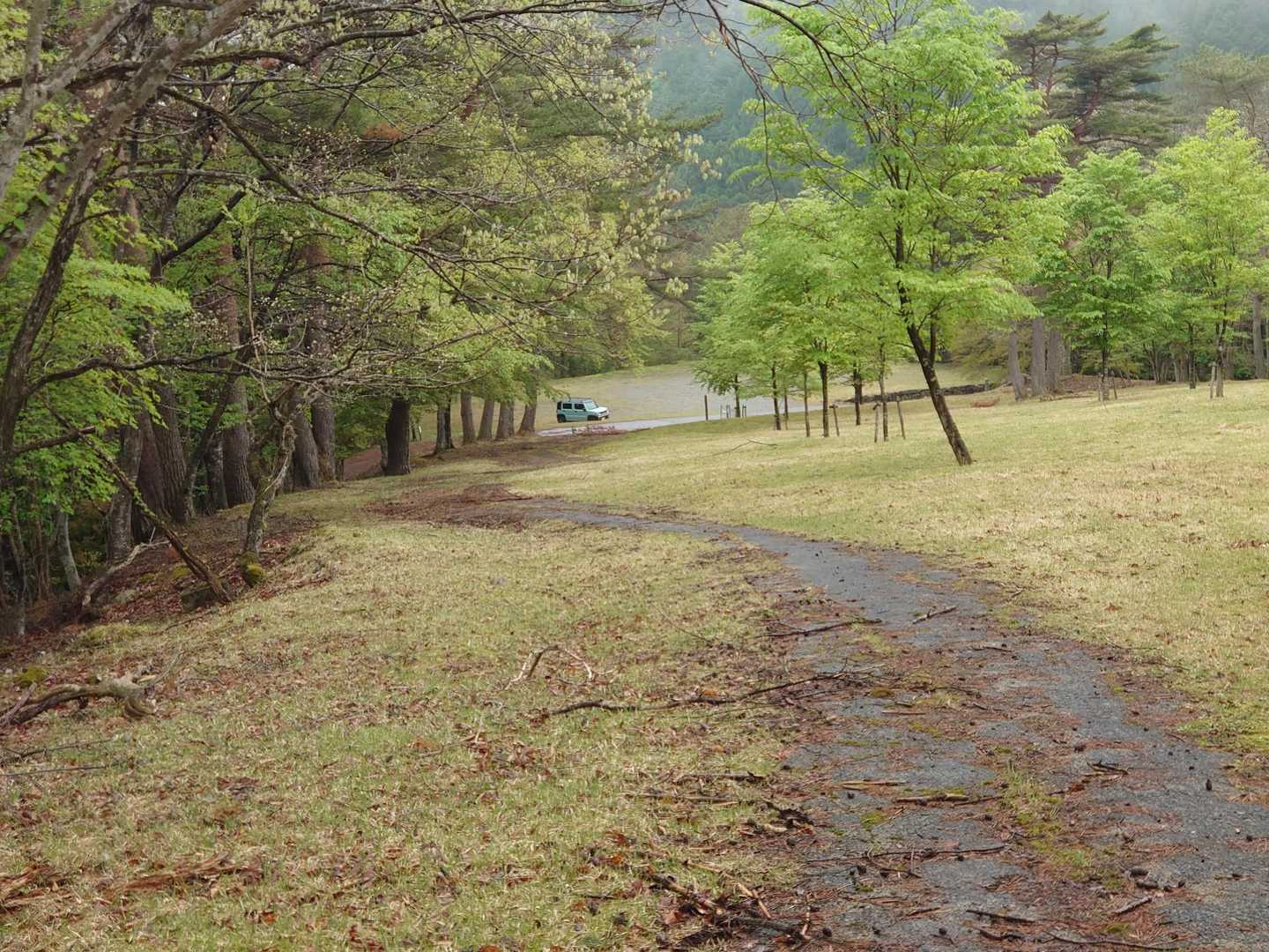 駐車地に戻ってきました。おつかれ山でした。