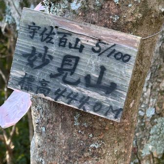 この標識もセットで。