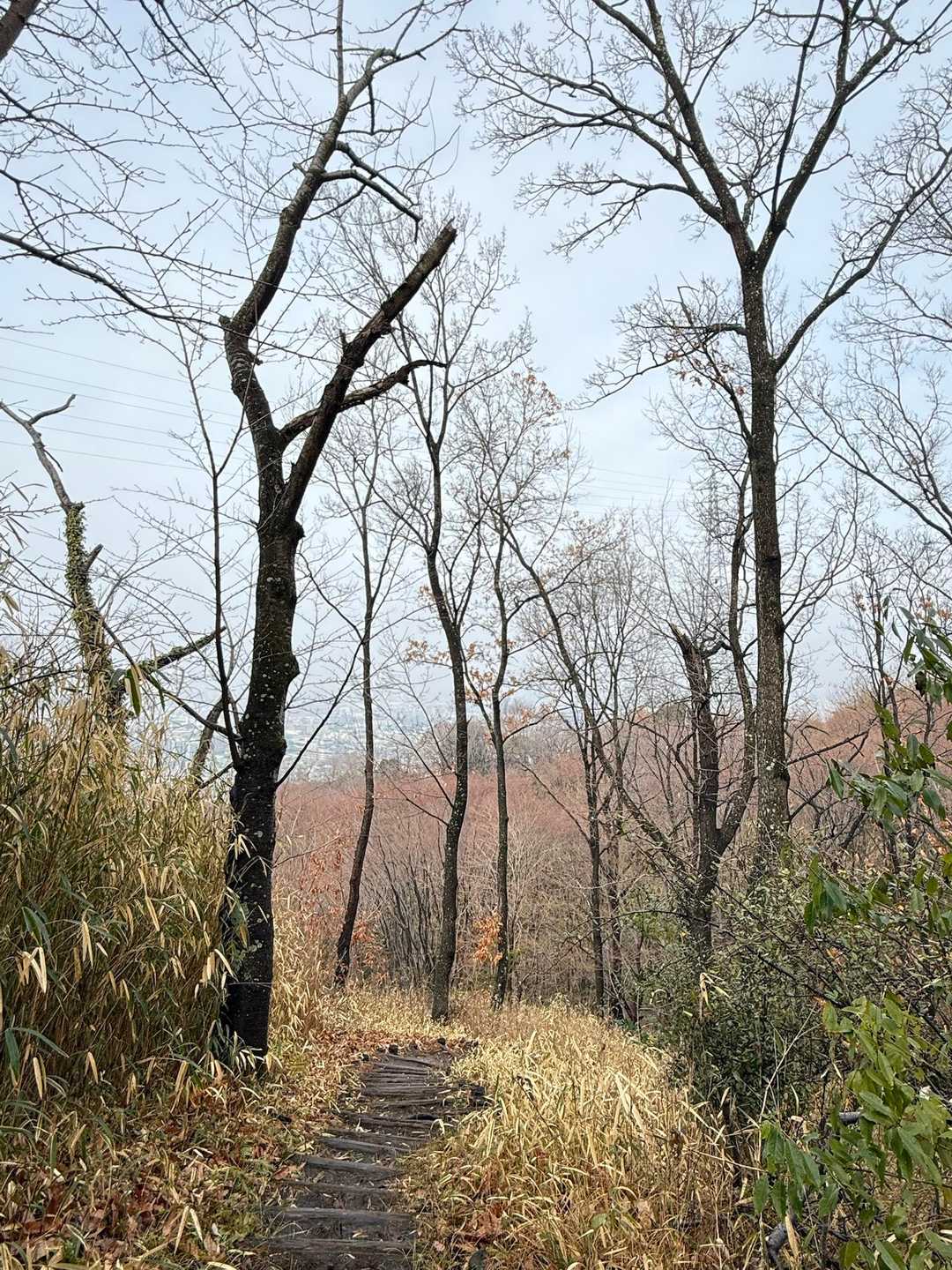 
　　　　　　　南パノラマ展望台へ