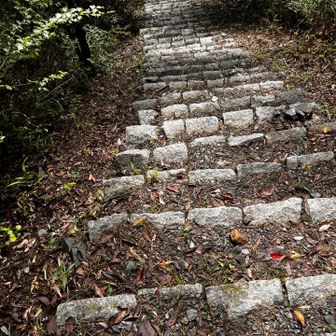 この階段嫌