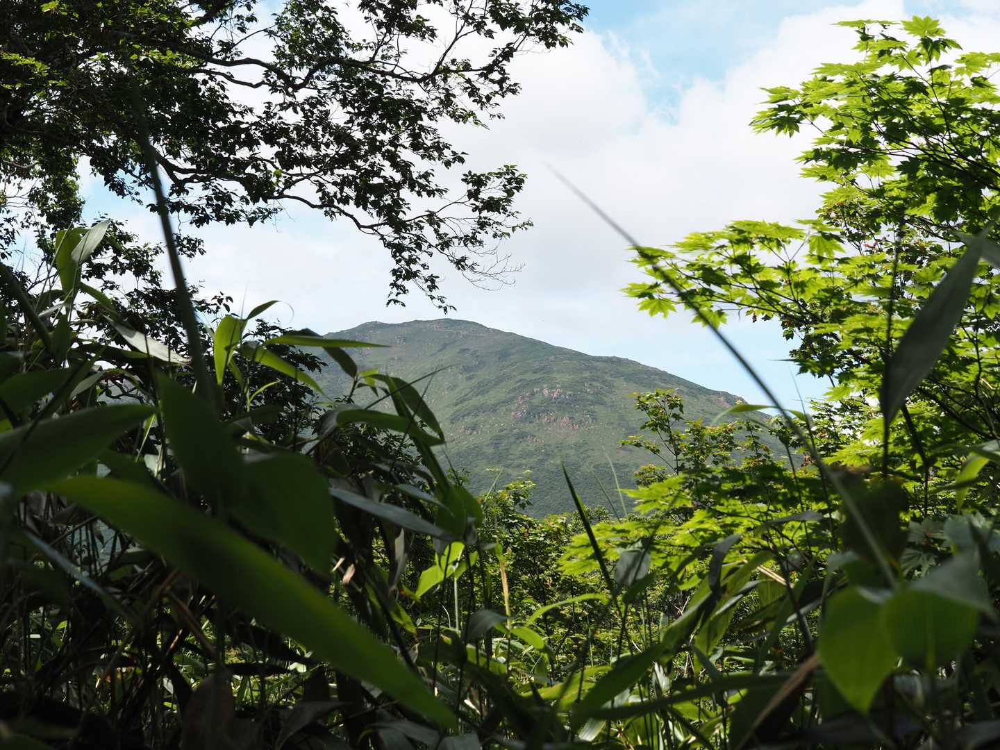 一昨年登った至仏山が見え隠れ。