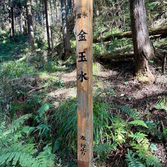 🎉テッテレ〜っ🙌🎊

【霊水 金玉水】  きんた...もとい
　　　　　　　 “きんぎょくすい“と読みます