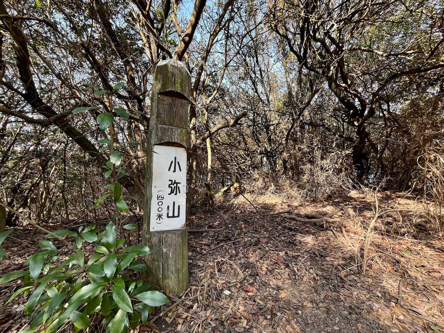 小弥山の山道へ到着⛰️
