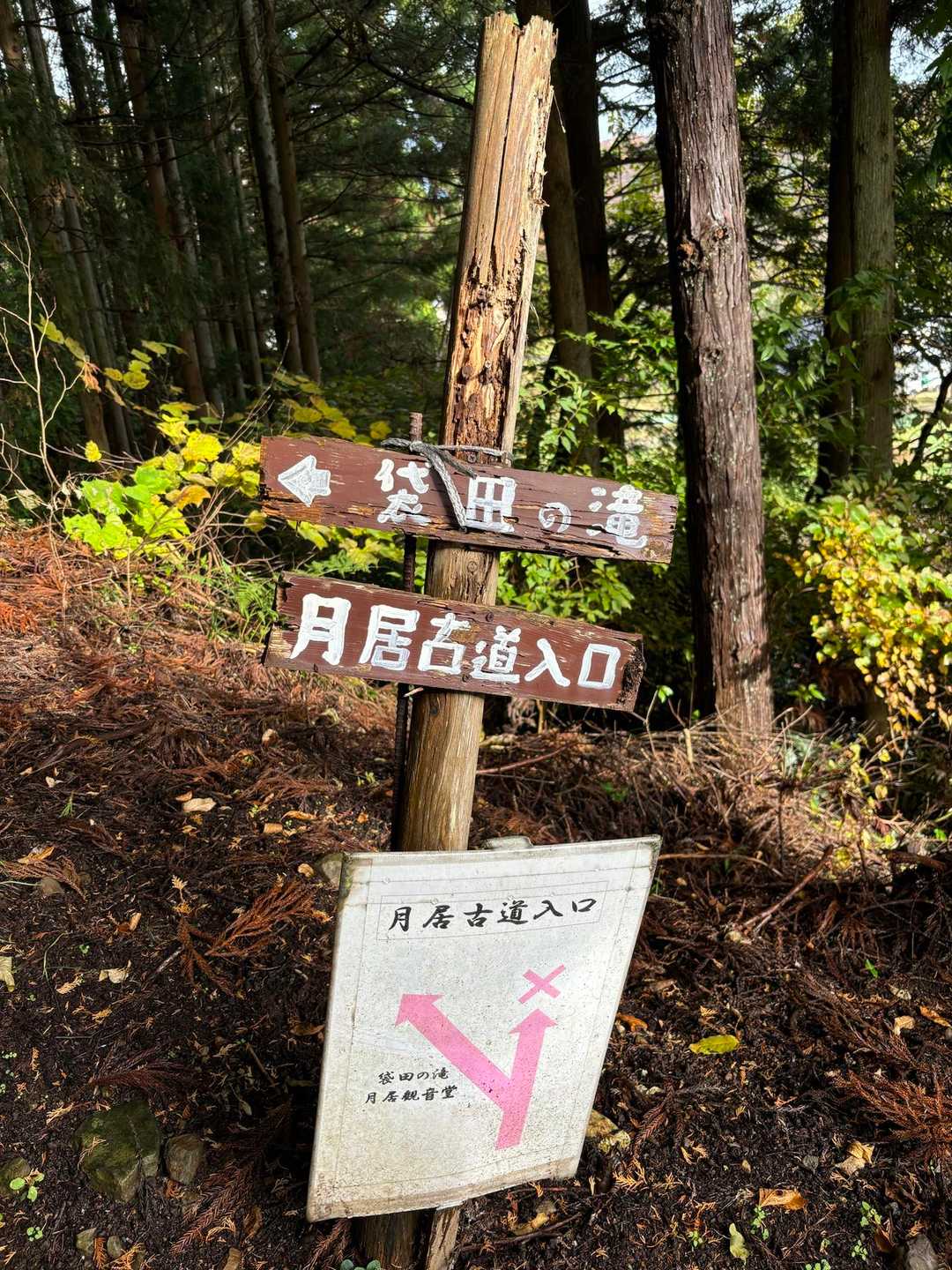 月居古道入口
このコース
地元ですが、宇都宮の山友さんに案内して頂き初めて登ります