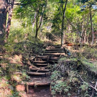 序盤から登ります