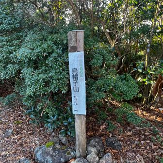 山頂〜・・・・・
新日本百名山らしい・・・