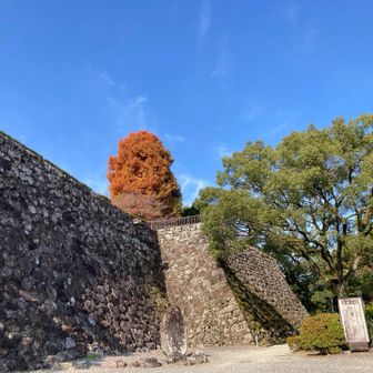 天気が、良くて12月なのに、暑いくらいです。