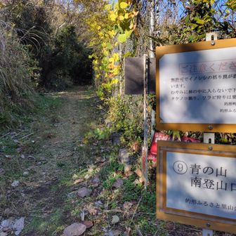 こんなところにあったのか！