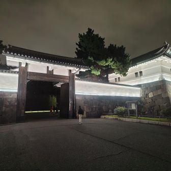1860年江戸幕府　大老井伊直弼が斬殺された地です🙏