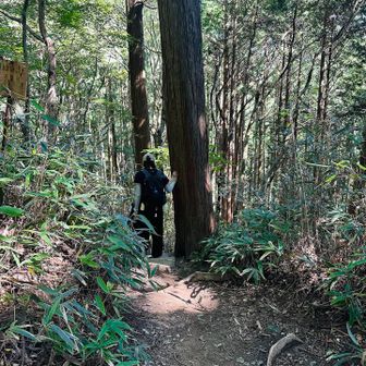 下山
