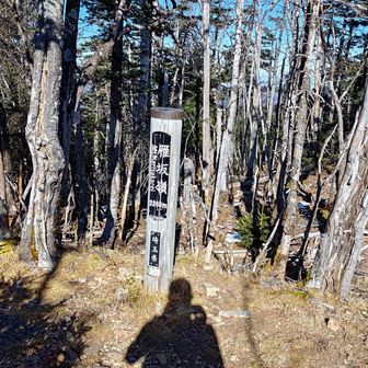 ラストの登り完了！
すっごい疲れた。ここからは待ちに待ったたボーナスステージ（下り）！
なお勾配は当分急な模様