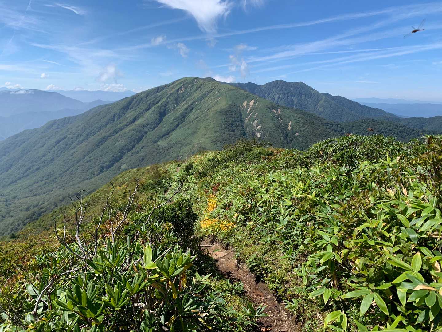 峠の茶屋登山口-朝日岳-1900m峰-三本槍岳-大峠 周回コースの写真