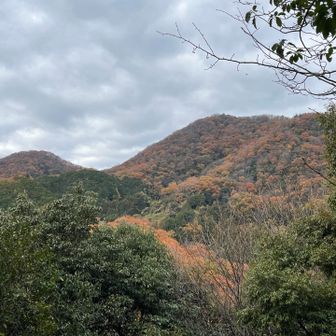 ここのオブジェ、ないんですね…