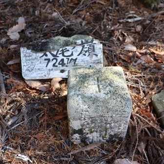 太尾ノ嶺の山頂。展望はない。
西ノ峰と同様に山名プレートが朽ちている。

点名: 愛賀合
標高: 724.99 m
種別: 三等三角点