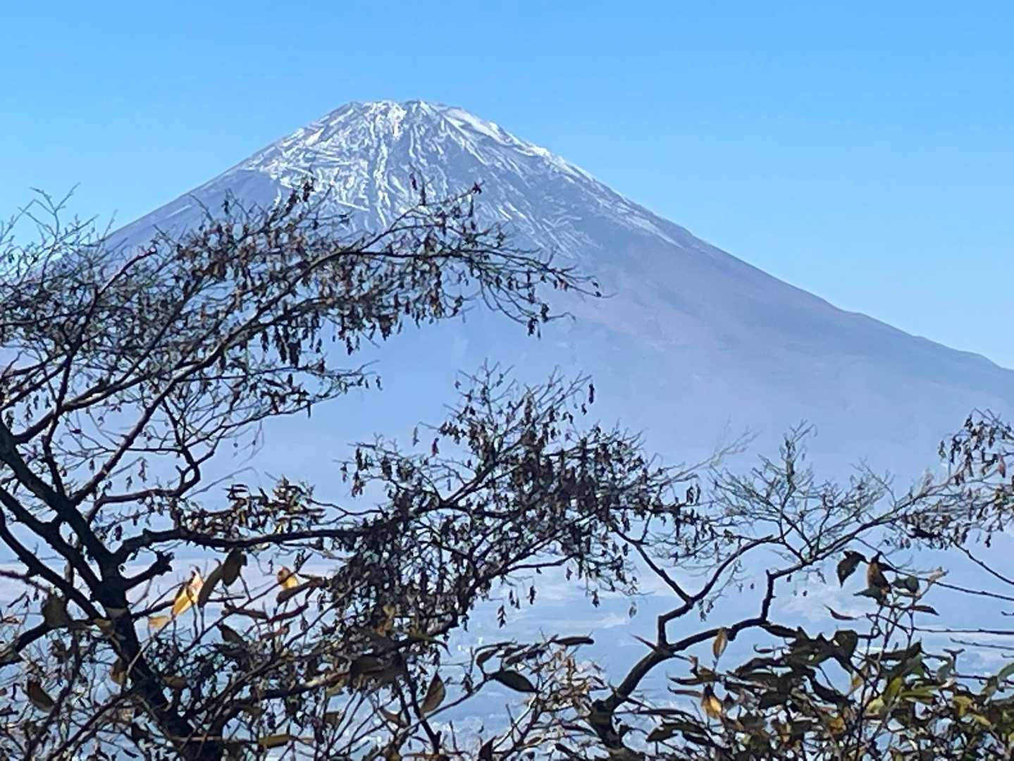 公時神社登山口-金時山-長尾山-乙女峠-姥ヶ茶屋 縦走コースの写真