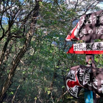 ここから覗き岩へ。