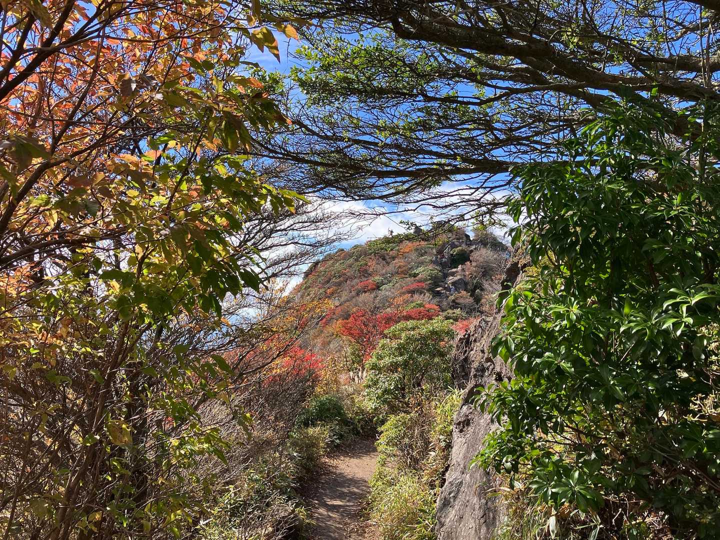 沓掛山あたりの紅葉キレイだったな