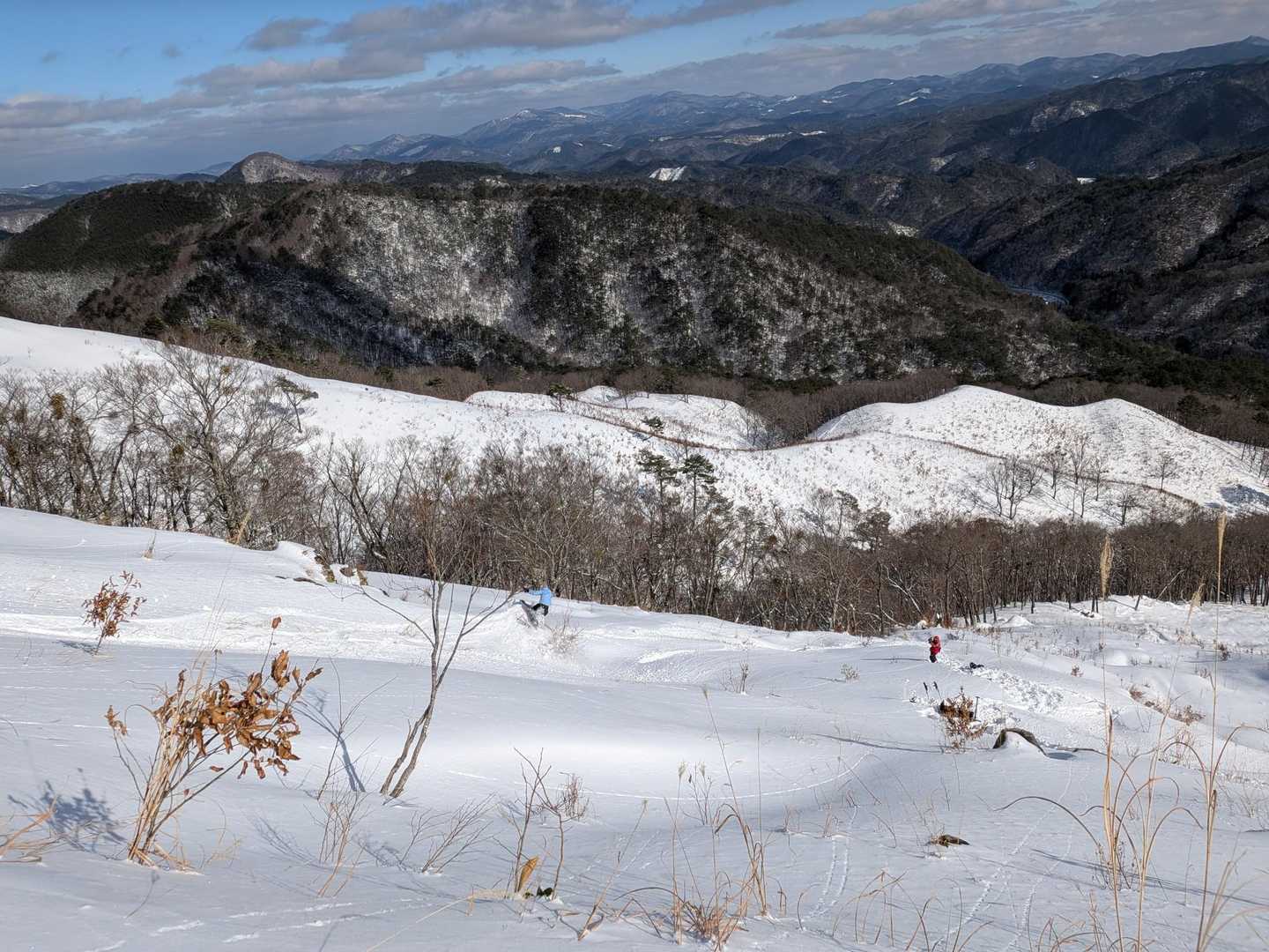 この後、派手に転けてはりました。🫣