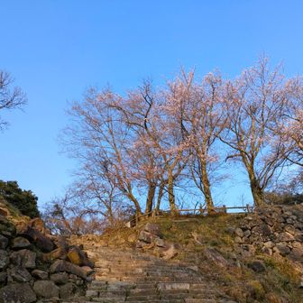 今年　１４回目の山頂